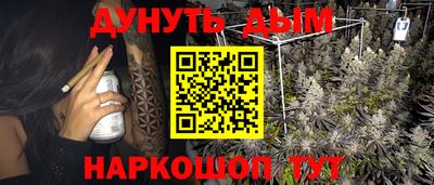 ешки Новозыбков