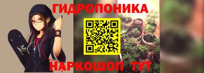 jwh Новодвинск