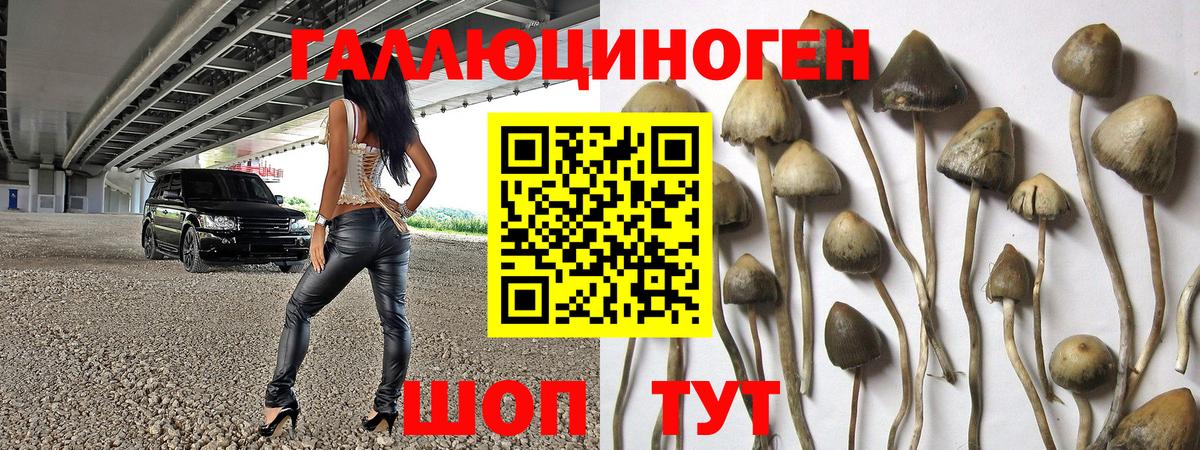 Псилоцибиновые грибы мицелий Тобольск