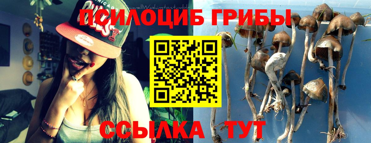 Галлюциногенные грибы Cubensis  Вход с VPN  Галлюциногенные грибы прущие грибы  Тобольск 